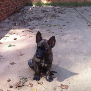 Meet your Posher, Angelo